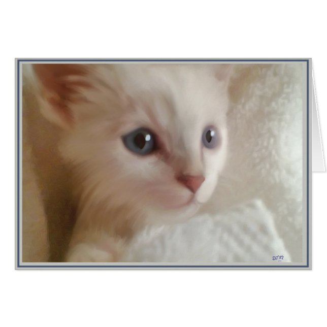 Valp Card Kattunge 11 Hälsningskort (Framsidan Horizontal)