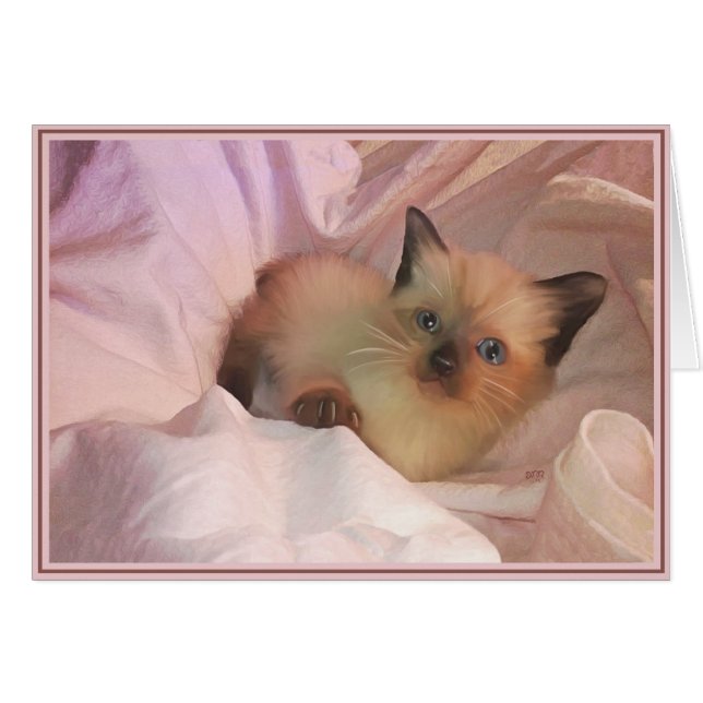 Valp Card Kattunge 12 Hälsningskort (Framsidan Horizontal)