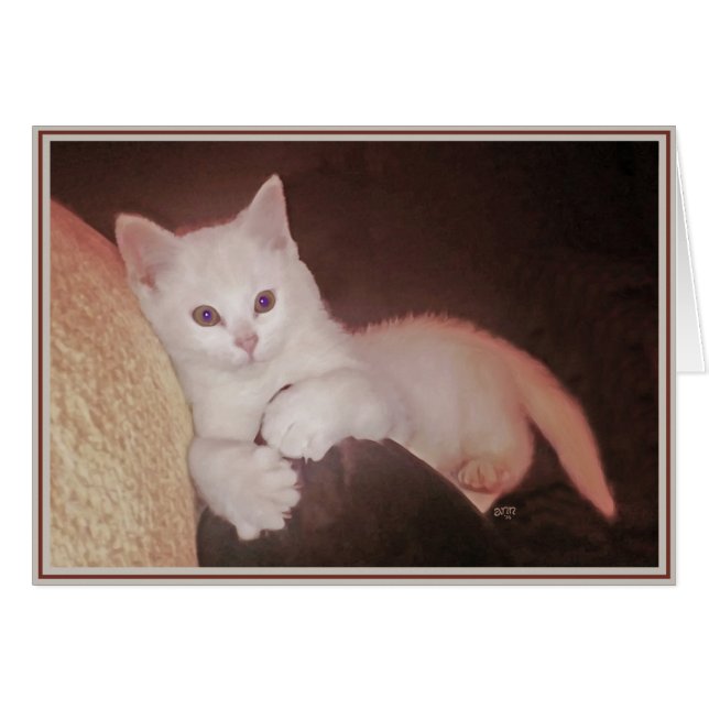 Valp Card Kattunge 14 Hälsningskort (Framsidan Horizontal)