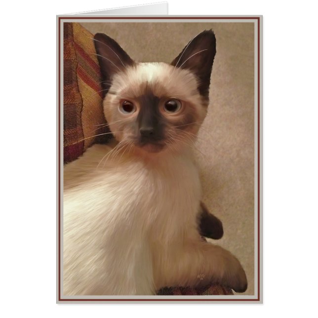 Valp Card Kattunge 15 Hälsningskort (Framsidan)