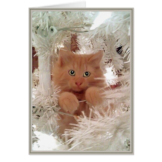 Valp Card Kattunge 16 Hälsningskort (Framsidan)