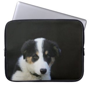Valp för 12 vecka gammal gränsCollie Laptop Sleeve