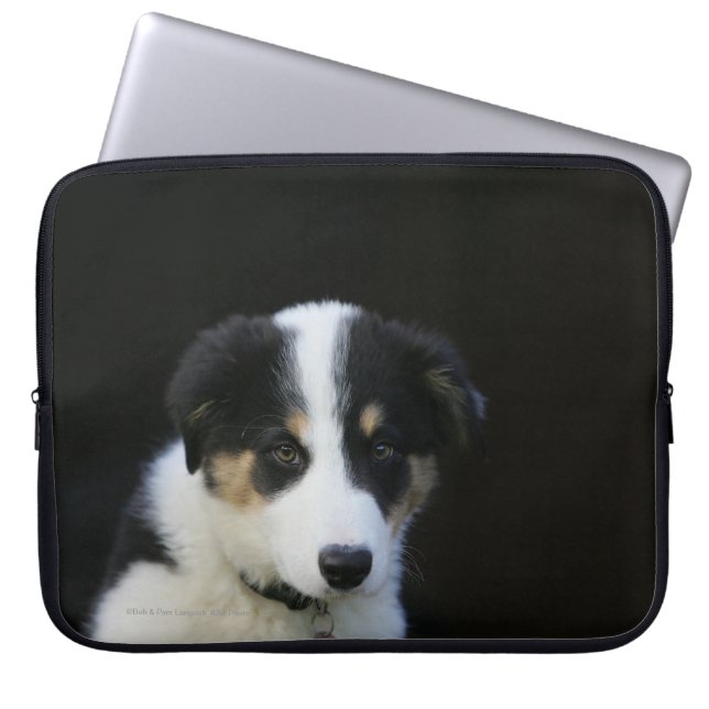 Valp för 12 vecka gammal gränsCollie Laptop Sleeve (Framsidan)
