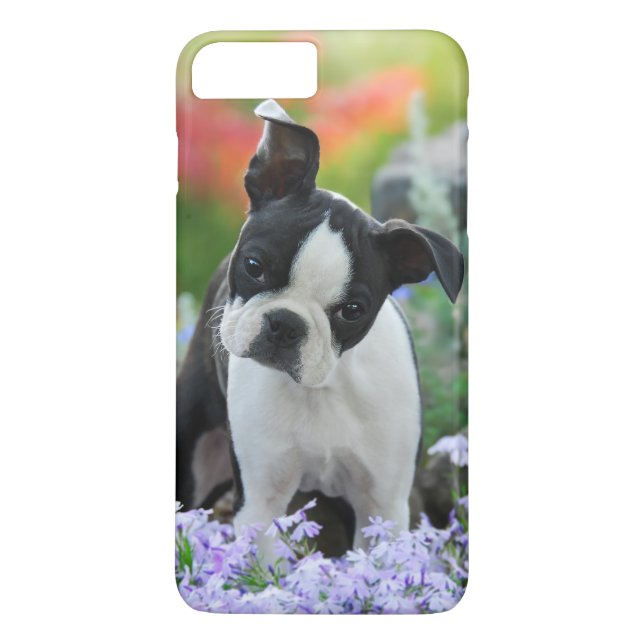 Valp för Boston Terrierhund Case-Mate iPhone Skal (Baksida)