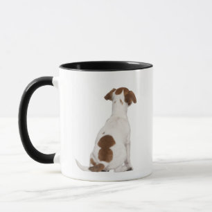 Valp för jackRussell Terrier (3 gammala månader) Mugg