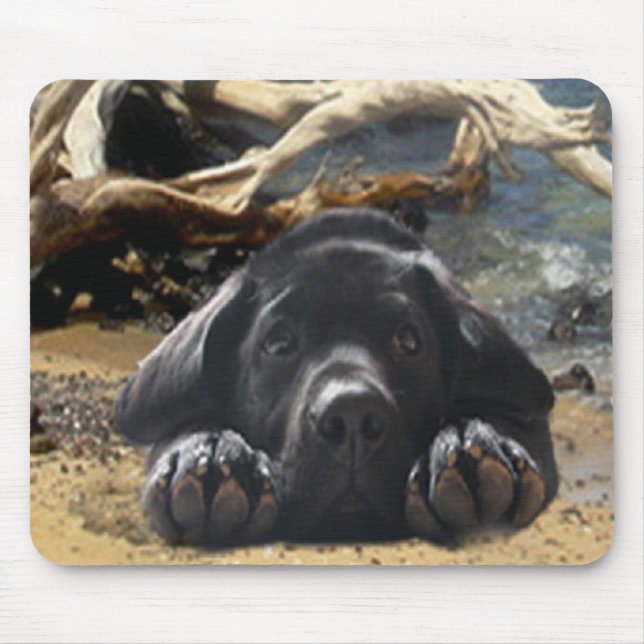 Valp för Labrador Retriever på stranden Mousepad Musmatta (Framsidan)