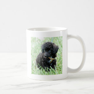 Valp för leksakpudel kaffemugg