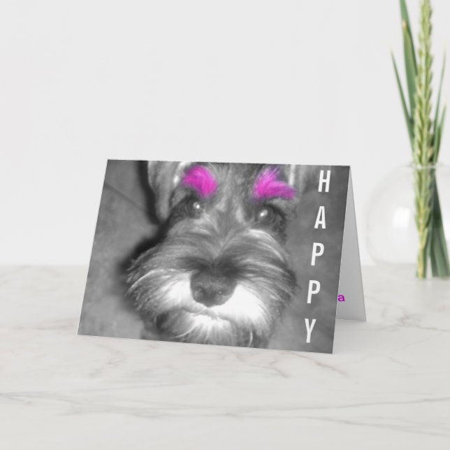 Valp för Schnauzer för grattis på Kort (Framsida)