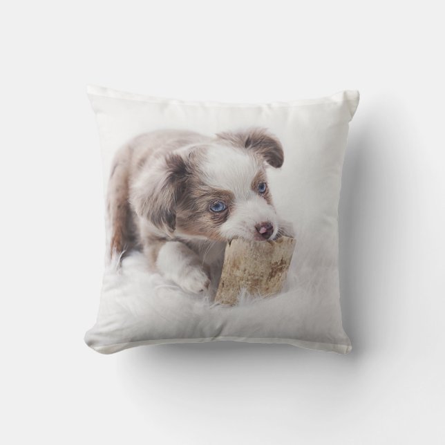 valp för snabb röd merle kudde (Framsida)