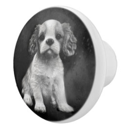 Valp för Spaniel för kung Charles stolt Knopp