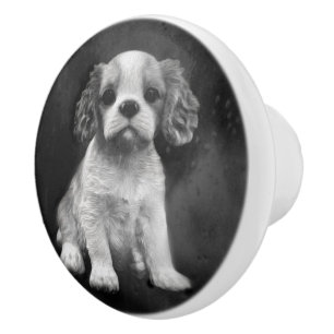 Valp för Spaniel för kung Charles stolt Knopp