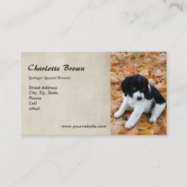 Valp för SpringerSpaniel Visitkort