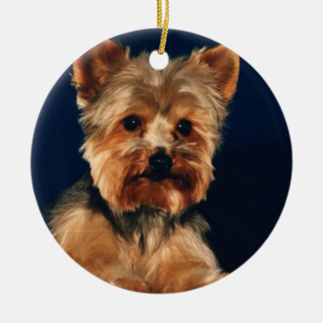 Valp för Yorkshire Terrier Julgransprydnad Keramik (Framsidan)