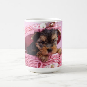 Valp för Yorkshire terrier Kaffemugg