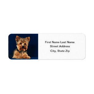 Valp för Yorkshire Terrier Returadress Etikett