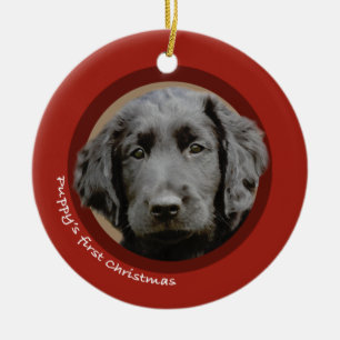Valp första jul (denJackade retrieveren) Julgransprydnad Keramik