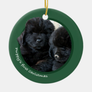 Valp första jul (Newfoundland) Julgransprydnad Keramik