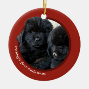 Valp första jul (Newfoundland) Julgransprydnad Keramik