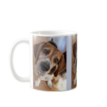 Valp Hund Älskare 3 Anpassade Bilder