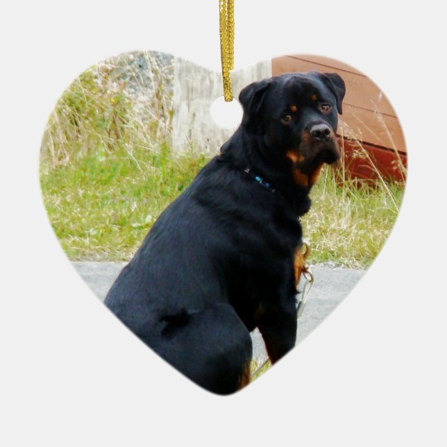 Valp-hund ögon julgransprydnad keramik (Framsidan)