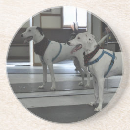 Valp i spegeln underlägg