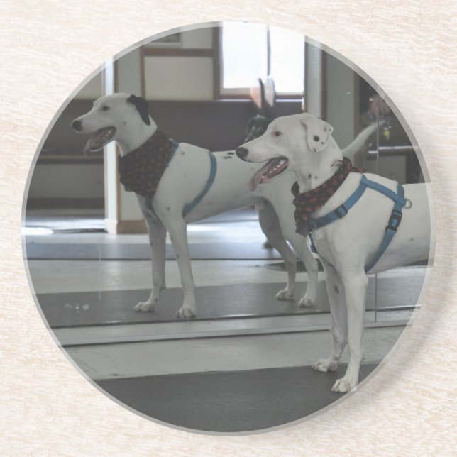 Valp i spegeln underlägg (Framsidan)