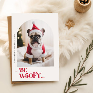 Valp jultomte hatt Modern hund foto jul Helg Vykort