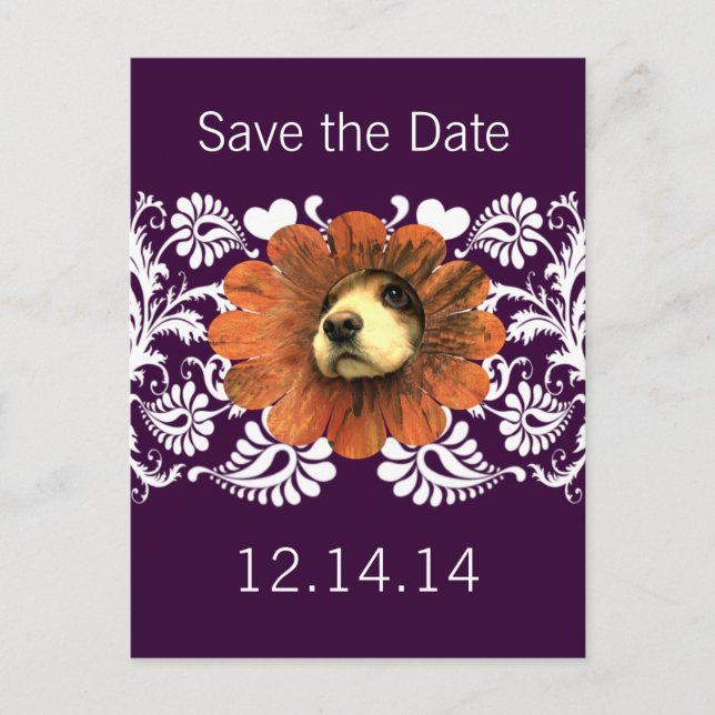 Valp Kärlek Tittar Ut Från En Blomma Meddelande Vykort (Framsida)