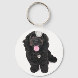 valp Keychain för cockerspanielpudelblandning Nyckelring