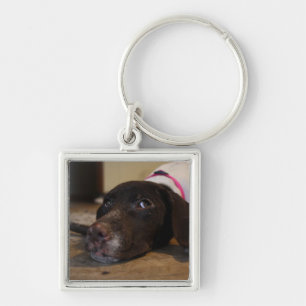 Valp Keychain Fyrkantig Silverfärgad Nyckelring