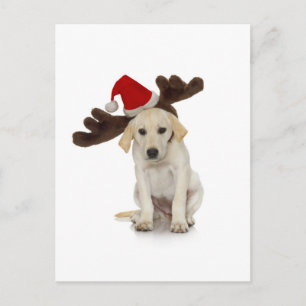 Valp med Santa hatt- och renöron Helg Vykort