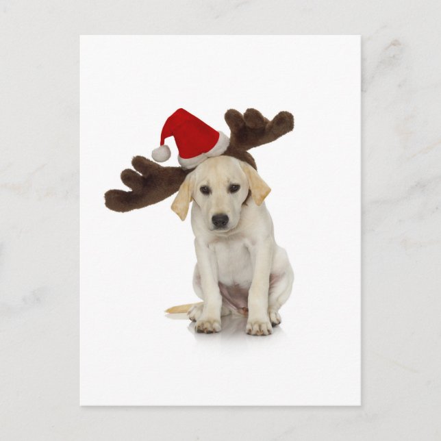 Valp med Santa hatt- och renöron Helg Vykort (Framsida)