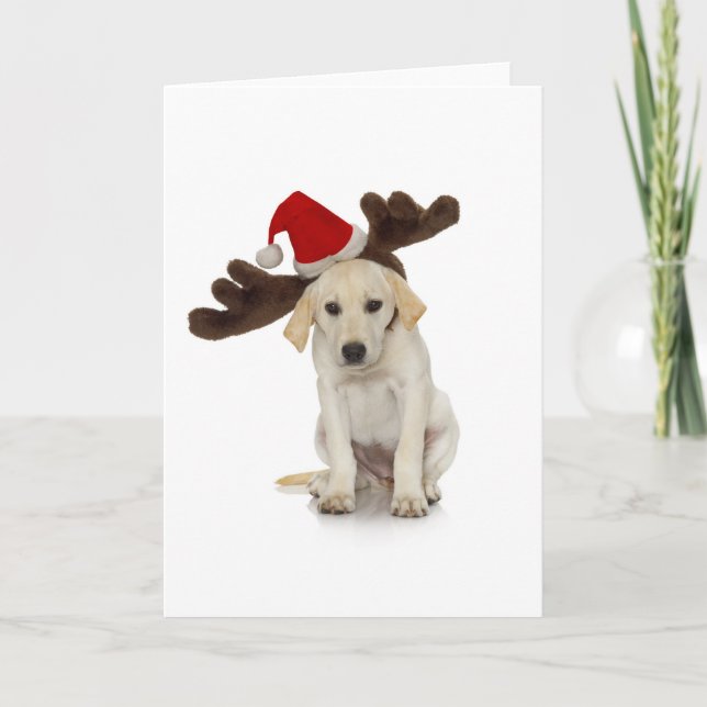 Valp med Santa hatt- och renöron Helgkort (Framsida)