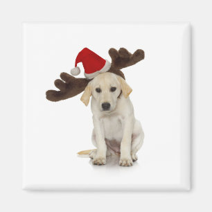 Valp med Santa hatt- och renöron Magnet