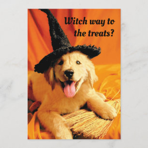 Valp med vätt och rum inbjudningar