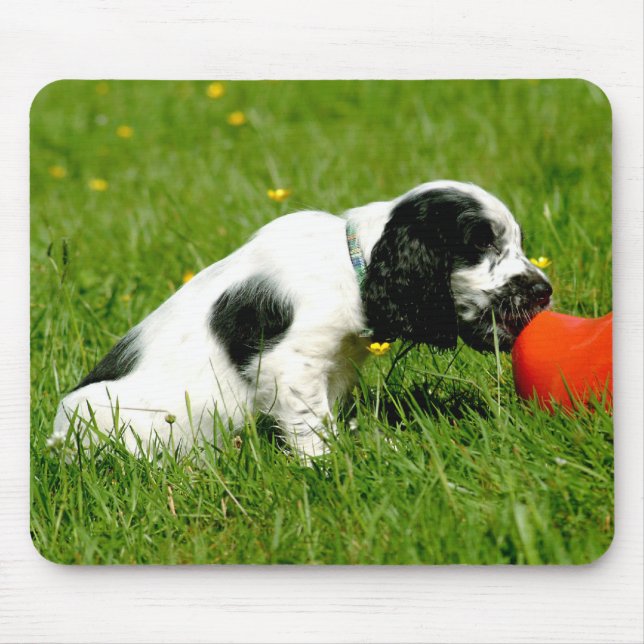 Valp Mousepad för engelskacockerspanielSpaniel Musmatta (Framsidan)