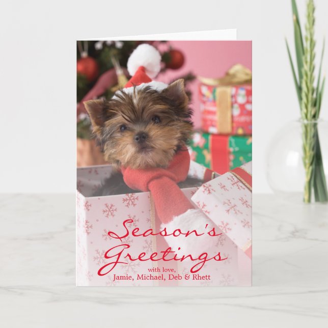 Valp och jul 2 för Yorkshire Terrier Helgkort (Framsida)