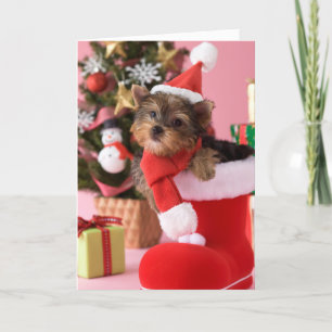 Valp och jul för Yorkshire Terrier Helgkort