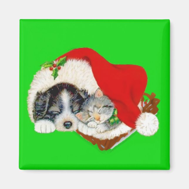 Valp och kattunge jul  magnet (Framsidan)