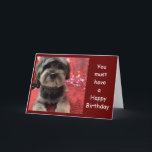 Valp PÅ ***FRIENDS BIRTHDAY-KORT**** KORT<br><div class="desc">Tack så mycket för att du stannade i en av mina åtta butiker!</div>