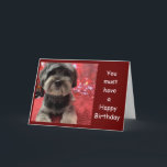 Valp PÅ ***FRIENDS BIRTHDAY-KORT**** KORT<br><div class="desc">Tack så mycket för att du stannade i en av mina åtta butiker!</div>