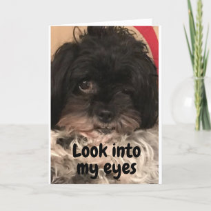 VALP SÄGER "GRATTIS PÅ FÖDELSEDAGEN" TILL DIG! KORT