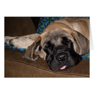 Valp som är för stor hälsningskort