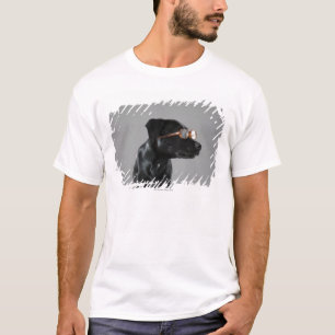 Valp som ha på sig exponeringsglas tee shirt