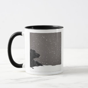 Valp som ljuger i hållande ögonen på snöflingo mugg
