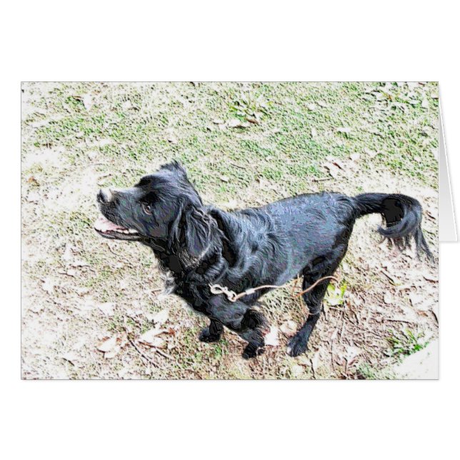 Valp som väntar på att gå en promenad hälsningskort (Framsidan Horizontal)