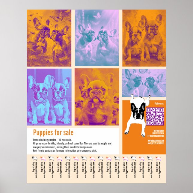 Valp till salu Affischmall 6 bilder QR-kod  Poster (Framsidan)