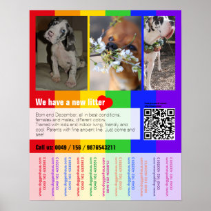 Valp till salu flygblad med QR-kod Poster