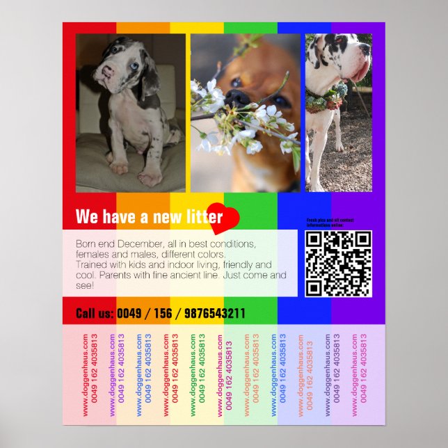 Valp till salu flygblad med QR-kod Poster (Framsidan)