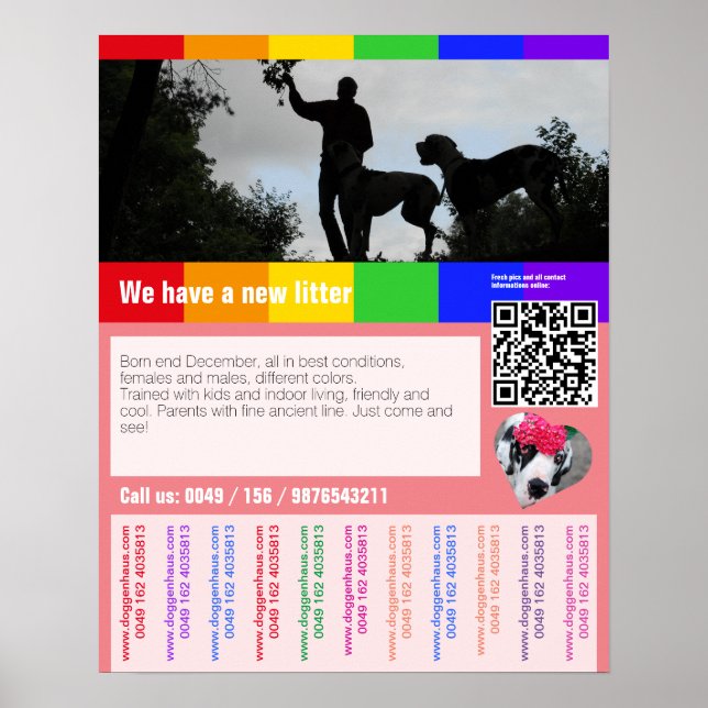 Valp till salu flygblad med QR-kod Poster (Framsidan)